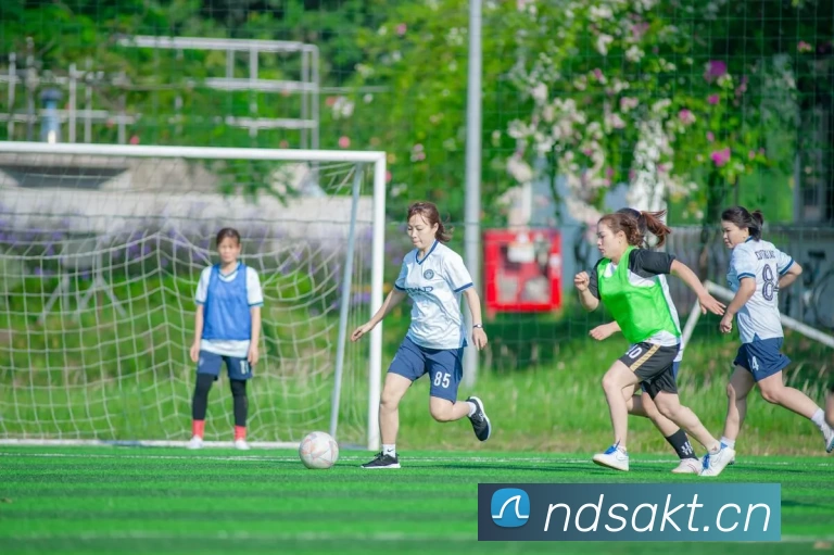 App Interface Preview