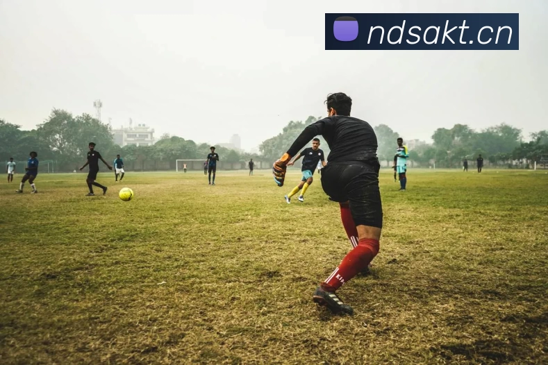 数据防护可视化